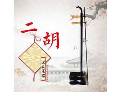 招聘宁波二胡家教老师